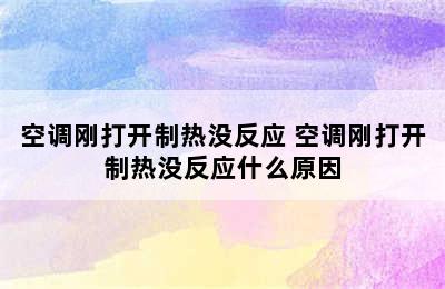 空调刚打开制热没反应 空调刚打开制热没反应什么原因